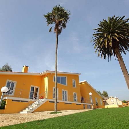 Up Quinta Dos Meireles Albergaria-a-Velha Dış mekan fotoğraf